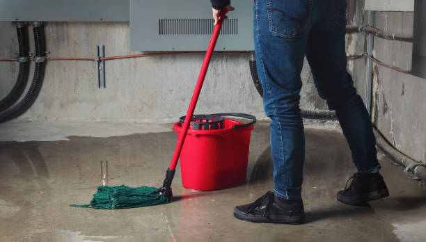 Best Professional water damage repair  in Teutopolis, IL