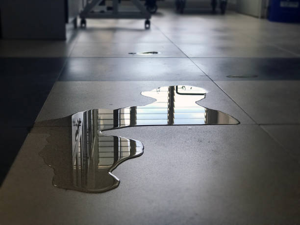 Best Commercial water damage restoration  in Teutopolis, IL