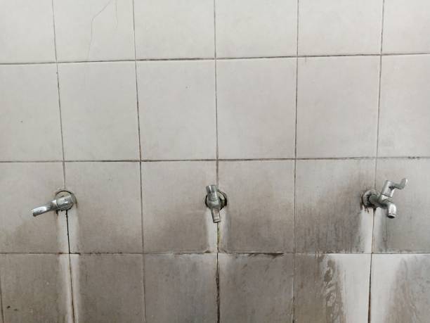 Best Ceiling water damage repair  in Teutopolis, IL