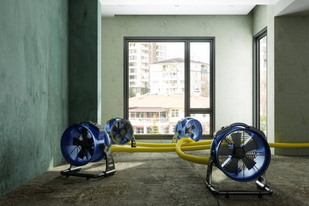 Trusted Teutopolis, IL Water damage restoration Experts